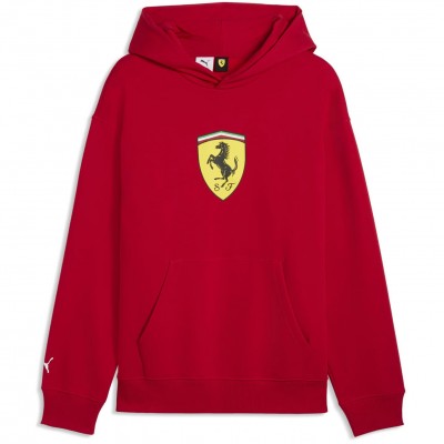 разпродажба,puma,мъжки,горнища,с,качулка,дамски,горнища,с,качулка,puma,puma,sf,shield,hdy,63,rosso,corsa