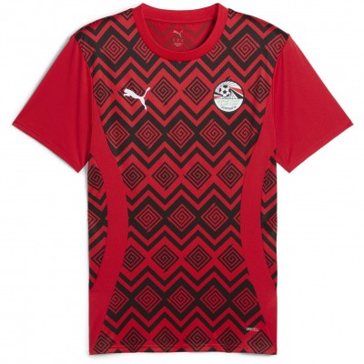 мъжка,футболна,фланелка,puma,efa,prematch,ss,jersey,football,shirt,mens,puma,red