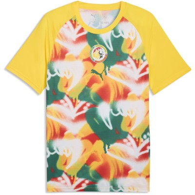 футболни,фланелки,национални,отбори,разпродажба,puma,мъжки,тениски,облекла,с,футболна,тема,puma,mens,senegal,warm,up,shirt,world,cup,2026,yellow,green