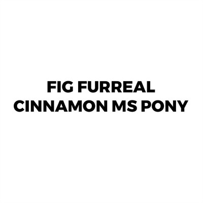 игри,и,технологии,fur,real,furreal,cinnamon,my,stylin',pony,merchandise