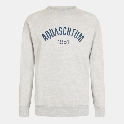 мъжки,тениски,aquascutum,aquascutum,crest,crw,sn99,gray,mel