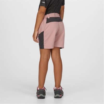 туристическо,облекло,детски,къси,панталони,детски,облекла,regatta,sorcermntshr,jn99,duskyrs,slgy