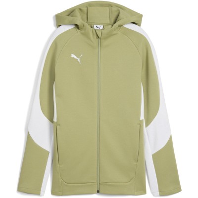 детско,горнище,puma,unisex,kids,teamevostripe,hooded,performance,tracksuit,top,clmnggrn,sl,wht