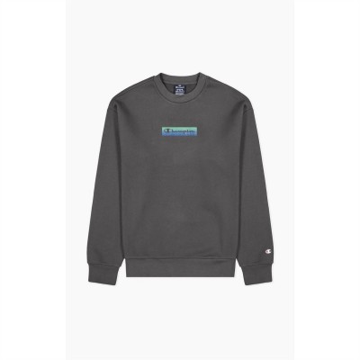 облекла,на,разпродажба,мъжки,блузи,champion,crwnck,swtr,sn99,grey