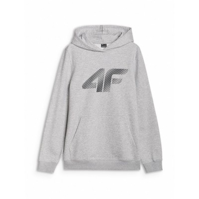 суичър,мъжки,горнища,с,качулка,4f,oth,logo,hoodie,grey