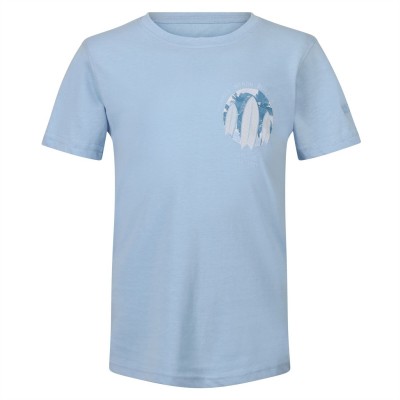 юношеска,тениска,детски,тениски,regatta,bosley,v,graphic,print,t,shirt,juniors,powder,blue