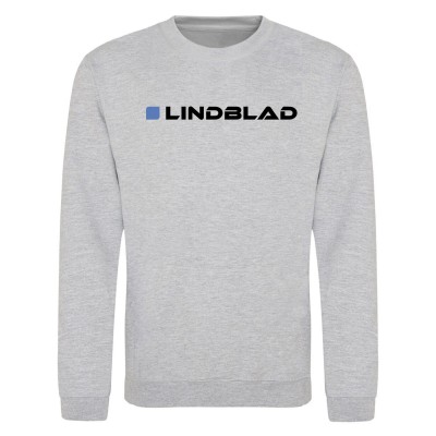блуза,мъжки,горнища,размер+,awd,adults,printed,f1,sweatshirt,lindblad