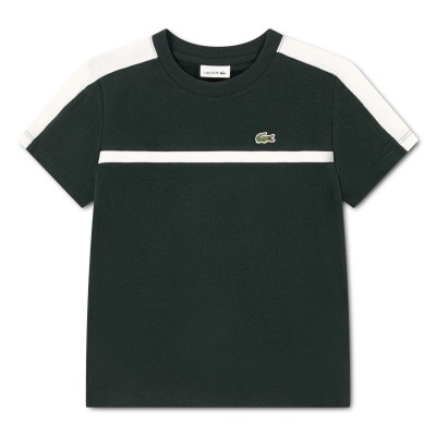 lacoste,colourblock,jn64,green