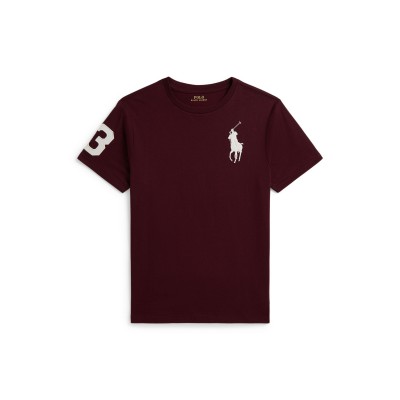 блуза,с,яка,polo,ralph,lauren,polo,big,pp,tee,jn64,rich,ruby