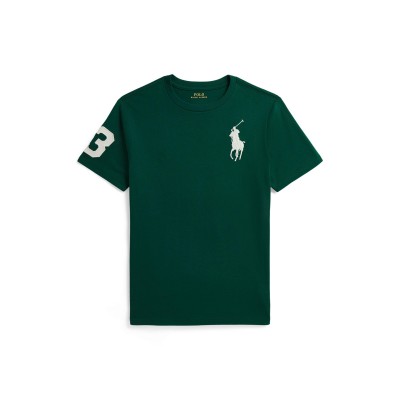 блуза,с,яка,polo,ralph,lauren,polo,big,pp,tee,jn64,hunter,green
