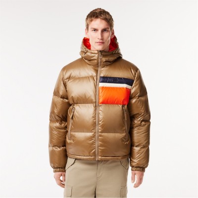 облекла,на,разпродажба,мъжки,якета,lacoste,lacoste,bh1639,jkt,sn99,cookie,multico