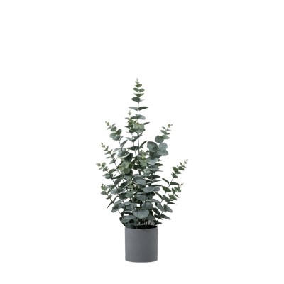аксесоари,на,разпродажба,gallery,pot,eucalyptus,99,green