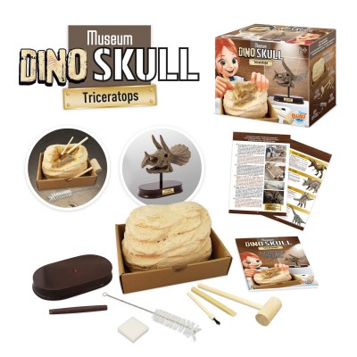 канцеларски,принадлежности,buki,france,triceratops,museum,skull,triceratops