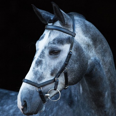 екипировка,за,езда,юзди,и,аксесоари,rambo,micklem,multi,bridle,black