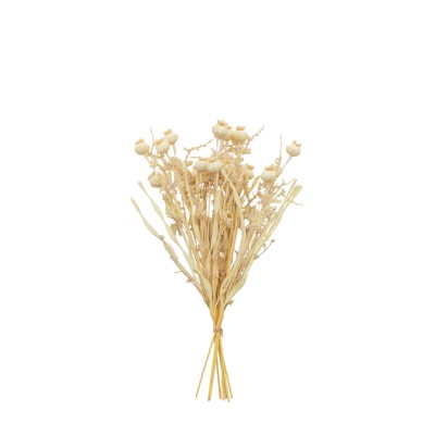 аксесоари,на,разпродажба,gallery,dry,ppy,bndlx9,99,cream