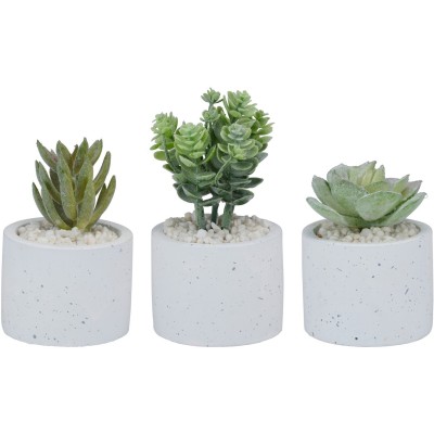 градина,/,на,открито,аксесоари,на,разпродажба,arti,casa,set,of,3,artifical,plants,none