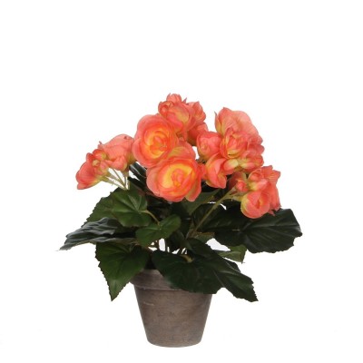 градина,/,на,открито,аксесоари,на,разпродажба,mica,begonia,in,pot,stan,grey,salmon