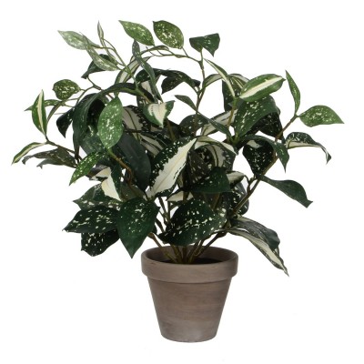 градина,/,на,открито,аксесоари,на,разпродажба,mica,cordyline,green,in,pot,stan,grey,green