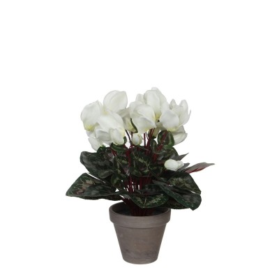 градина,/,на,открито,аксесоари,на,разпродажба,mica,cyclamen,in,pot,stan,grey,white