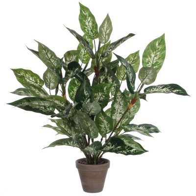 градина,/,на,открито,аксесоари,на,разпродажба,mica,dieffenbachia,green,in,pot,stan,grey,green