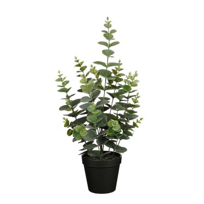 градина,/,на,открито,аксесоари,на,разпродажба,mica,eucalyptus,in,pot,green,green