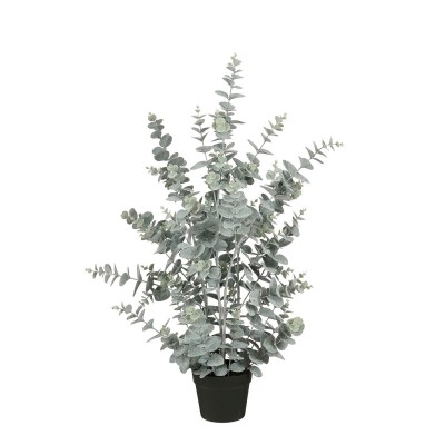 градина,/,на,открито,аксесоари,на,разпродажба,mica,eucalyptus,in,pot,green,green