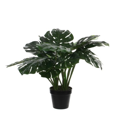 градина,/,на,открито,аксесоари,на,разпродажба,mica,monstera,in,plastic,pot,green,green