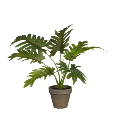 градина,/,на,открито,аксесоари,на,разпродажба,mica,philodendron,green,in,pot,stan,grey,green