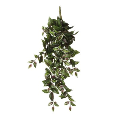 градина,/,на,открито,аксесоари,на,разпродажба,mica,tradescantia,hanging,green,green
