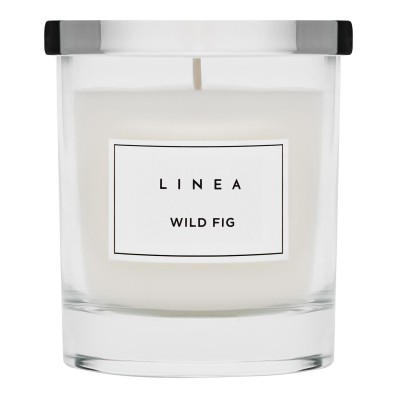 linea,glass,candle,wild,fig