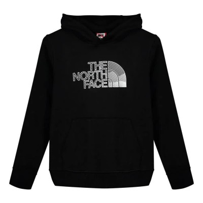суичър,детски,блузи,the,north,face,biner,graphic,hoodie,black,(tnf,black)
