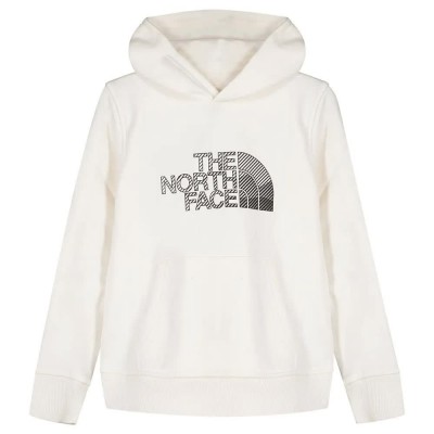 суичър,детски,блузи,the,north,face,biner,graphic,hoodie,white,(gardenia,white)