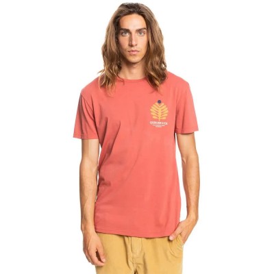 тениска,мъжки,тениски,quiksilver,promote,the,stoke,short,sleeve,t,shirt,burnt,ochre,(brown)