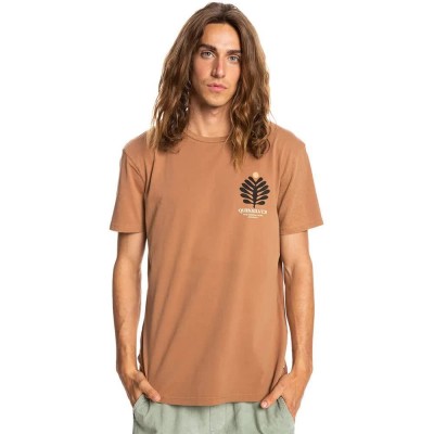 тениска,мъжки,тениски,quiksilver,promote,the,stoke,short,sleeve,t,shirt,green,(chipmunk)