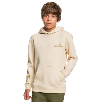 блуза,детски,блузи,quiksilver,stir,it,up,sweatshirt,beige