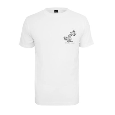 тениска,мъжки,тениски,mister,tee,astro,aquarius,t,shirt,white,(white)