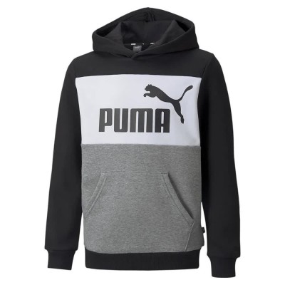 блуза,детски,блузи,puma,essentials+,colorblock,fl,sweatshirt,grey