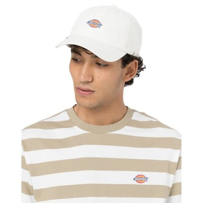 шапка,всички,шапки,dickies,6,panel,logo,cap,beige,(cloud)