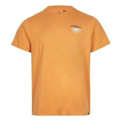 тениска,мъжки,тениски,o´neill,albor,short,sleeve,t,shirt,orange