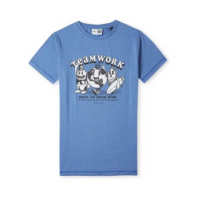 тениска,детски,тениски,o´neill,hybrid,teamwork,short,sleeve,t,shirt,princess,blue,(blue)