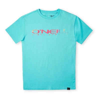 тениска,детски,тениски,o´neill,sanborn,short,sleeve,t,shirt,blue,(bachelor,button)
