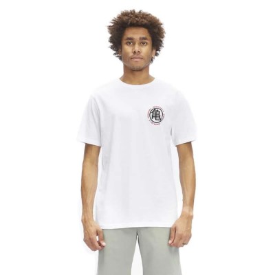 тениска,мъжки,тениски,hydroponic,dragon,ball,z,kame,sennin,short,sleeve,t,shirt,white,(white)