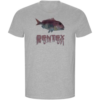 тениска,мъжки,тениски,kruskis,dentex,eco,short,sleeve,t,shirt,heather,grey,(grey)