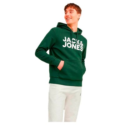 суичър,мъжки,пуловери,jack,&,jones,corp,logo,hoodie,green,(mountain,view,fit,reg,large,print)