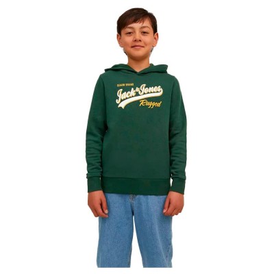 суичър,детски,блузи,jack,&,jones,logo,hoodie,mountain,view,(green)