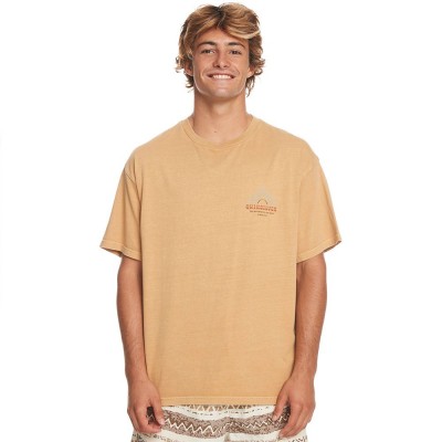 тениска,мъжки,тениски,quiksilver,qs,bloom,ss,short,sleeve,t,shirt,beige