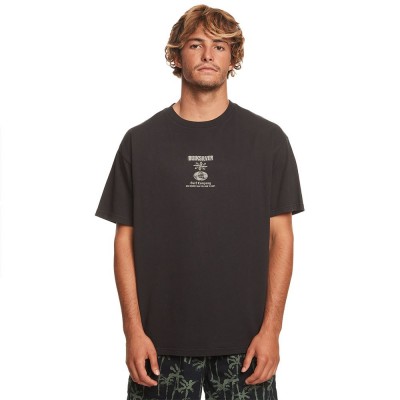 тениска,мъжки,тениски,quiksilver,quik,ways,ss,short,sleeve,t,shirt,brown