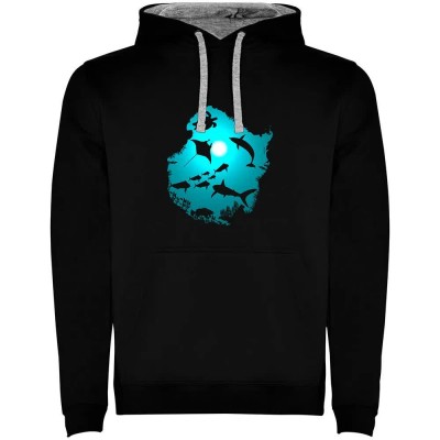 суичър,мъжки,пуловери,kruskis,underwater,dream,two,colour,hoodie,black,grey,(black)