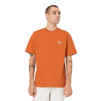 тениска,мъжки,тениски,dickies,summerdale,short,sleeve,t,shirt,brown,(orange)