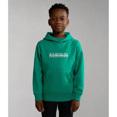 суичър,детски,блузи,napapijri,b,box,1,hoodie,green,(green,parakeet)
